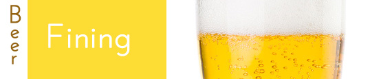 enzymes for beer